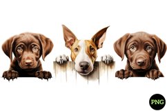 Breeds Of Peeking Dogs Collection Product Image 1