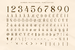 Classy Exclusive - Luxury Italic Font Product Image 13