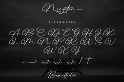 Ningetan Handwritten Font Product Image 13