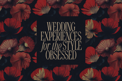 Golden Tales Serif Collection Product Image 13