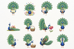 Spring &amp; Easter Peacock Clipart Product Image 6