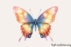 Colorful Spring Butterfly Clipart PNG Product Image 1