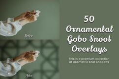 50 Ornamental Gobo Snoot Overlays Product Image 13