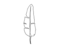 Palm Leaves svg, Botanical png Product Image 18