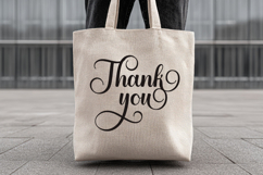 Baby Shake - Luxury Calligraphy Font with Swirl Alternate Product Image 13