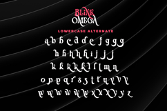Blink Omega - Luxury Swash Serif Font Product Image 13