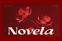 Aurellion - Elegant Serif Font Product Image 13