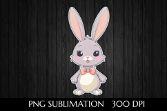 Charming Easter Bunny Product Image 1