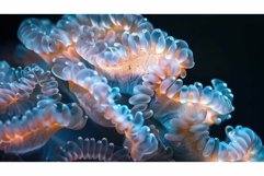 elite exceptional quality Product Image 1