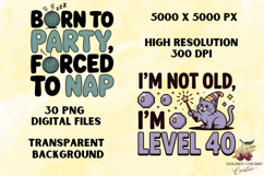 Funny Birthday Quotes PNG Bundle | 30 Sublimation Designs Product Image 3