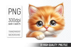 Cute Cat, Animal Sublimation Clipart PNG Product Image 1