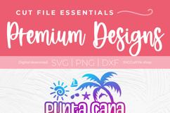 2027 Punta Cana Family Vacation svg-Dominican Republic Trip Product Image 5