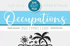 2024 Orlando Family Vacation svg - Orlando Florida Trip svg Product Image 6