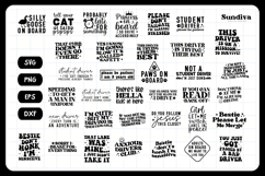 35 Funny Car Sticker Sayings Bundle | Vehicle Decal Product Image 3