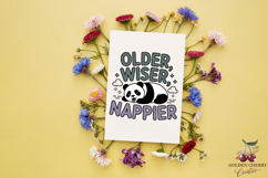Funny Birthday Quotes PNG Bundle | 30 Sublimation Designs Product Image 6