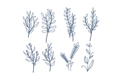 Hand-Draw With Herb And Flowers Collection Product Image 1
