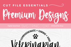 Veterinarian svg for Cricut or Silhouette cutting machines Product Image 5