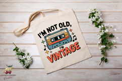 Funny Birthday Quotes PNG Bundle | 30 Sublimation Designs Product Image 8