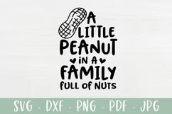 Funny Baby SVG | A Little Peanut In A Family Full Of Nuts Product Image 2