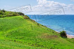 Green field of farmland with sea on background Product Image 1