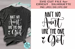 Ain't no aunt like the one i got svg, Aunt svg Product Image 1