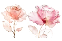 30 Watercolor Rose Clipart, Pink Floral PNG, Wedding Flowers Product Image 14