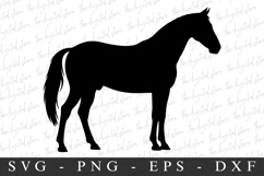 Horse SVG | SVG Cut files | Cricut Product Image 1