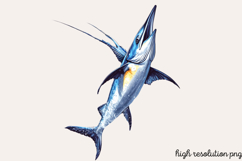 Summer Sea Animals Clipart PNG Product Image 1