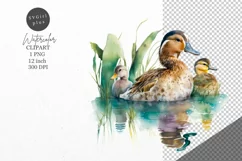 Duck clipart, Birds clipart, Watercolor clipart Product Image 1