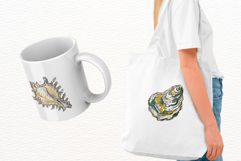 Hand-Drawn Seashells Clipart Product Image 3