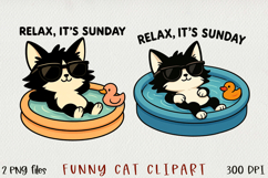 Cute &amp; Funny Cat BUNDLE, PNG. Product Image 13