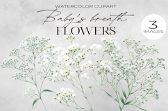 Baby’s Breath Clipart Floral Watercolor PNG. Product Image 1