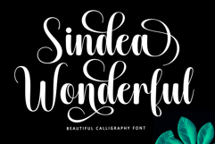 Barbie Hailey Font Family with 45 Styles Product Image 5