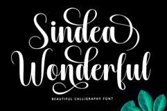 Barbie Hailey Font Family with 45 Styles Product Image 5