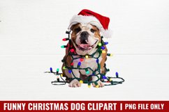 Funny Christmas Dog Watercolor Clipart PNG Product Image 1