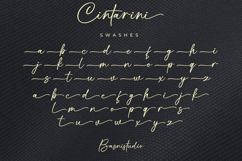 Cintarini Handwritten Font Product Image 14