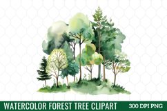 Watercolor Forest Tree Clipart Product Image 1