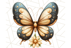 Jewel Toned Butterfly PNG Clipart, Vibrant Butterflies Product Image 2