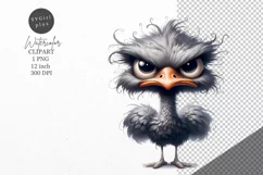 Ostrich clipart, Bird clipart, Funny clipart Product Image 1