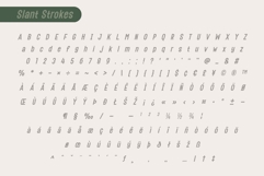 Fox Elliot Font Product Image 14