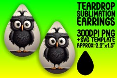 Playful Teardrop Owl Accessories Product Image 1