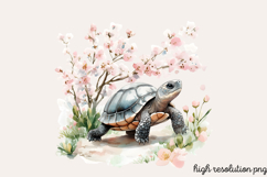 Spring Turtles Garden Clipart PNG Product Image 1