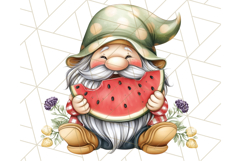Summer Garden Gnomes Clipart PNG, Summer Country Gnomes Png Product Image 2