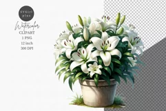 Flowers clipart, Lilies clipart, Spring clipart, Product Image 1