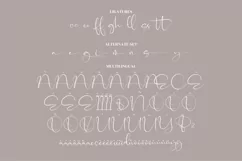 Catalistefa Signature Modern Signature Font Product Image 14