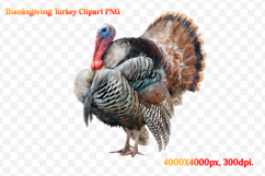 Watercolor Thanksgiving Turkey Clipart PNG Product Image 1