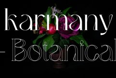 Bunmerang - Display Logo Product Image 11