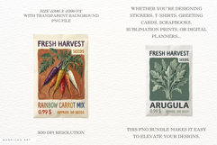Summer Vegetable Seeds Packet Clipart Product Image 2