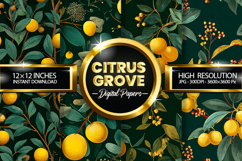 Citrus Grove Digital Papers - 04 variations Product Image 1