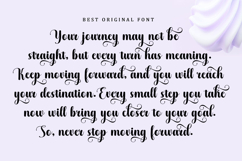 Maddison Wonderful - Family Font In 64 Type Product Image 13